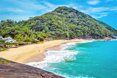 beach sex in brazil|'brazilian beach' Search .